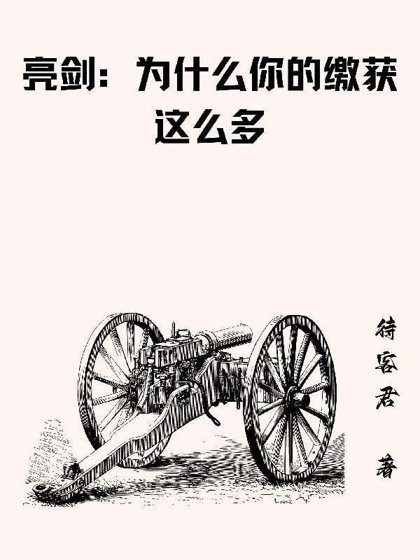 亮剑中缴获乐器