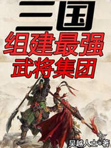 三国组建最强武将集团210